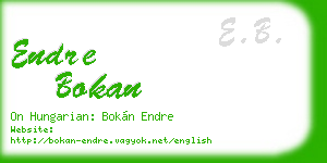 endre bokan business card