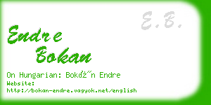 endre bokan business card